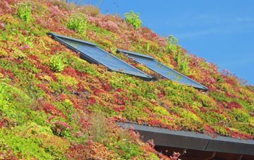Heath Hayes living roof systems