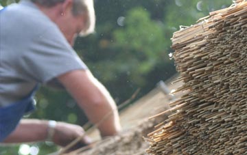 professional Heath Hayes thatchers